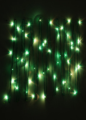 

Little India 600 inch Green Rice Lights(Pack of 1)