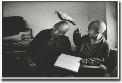 

Aabhaas Wall Poster pi-on-on-monk-s-head-aps-grvzypnh Paper Print(12 inch X 18 inch, Rolled)