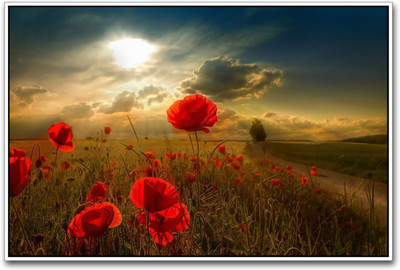 

Wall Poster Red Flowers in sunlight Paper Print(12 inch X 18 inch, Rolled)