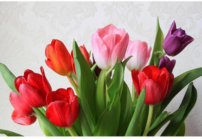 

Aabhaas Wall Poster Colorful Tulips Paper Print(12 inch X 18 inch, Rolled)