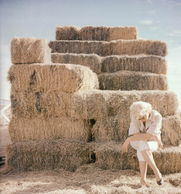 

Wall Poster Marilyn Monoroe Paper Print(12 inch X 18 inch, Rolled)