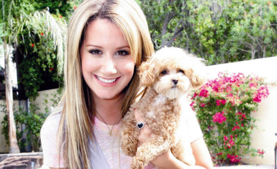 

Aabhaas Wall Poster Ashley Tisdale Paper Print(12 inch X 18 inch, Rolled)