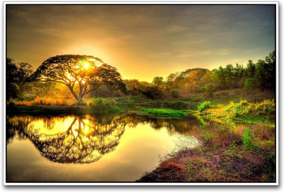 

Akhuratha Wall Poster Tree shadow in water Paper Print(12 inch X 18 inch, Rolled)