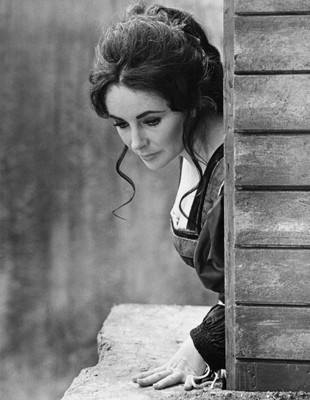 

Wall Poster Elizabeth Taylor Paper Print(12 inch X 18 inch, Rolled)