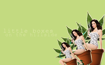

TV Show Weeds HD Wall Poster Paper Print(12 inch X 18 inch, Rolled)