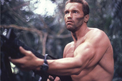 

Wall Poster Terminator Arnold Schwarzenneger Hollywood Actor Paper Print(12 inch X 18 inch, Rolled)