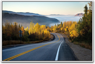 

Aabhaas Wall Poster Beautiful Road in Mountain Paper Print(12 inch X 18 inch, Rolled)
