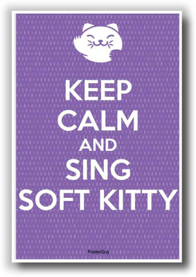 

Wall Poster Keep Calm And Sing Soft Kitty Paper Print(12 inch X 18 inch, Rolled)