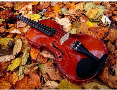 

Wall Poster Violin In The Leaves Paper Print(12 inch X 18 inch, Rolled)