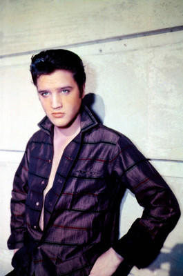 

Wall Poster Elvis Presley Paper Print(12 inch X 18 inch, Rolled)