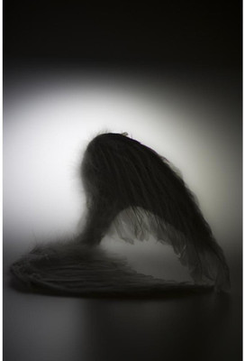 

Wall Poster Angels Wings Paper Print(12 inch X 18 inch, Rolled)