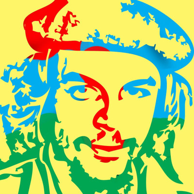 

Aabhaas Wall Poster Che Guevara Paper Print(12 inch X 18 inch, Rolled)