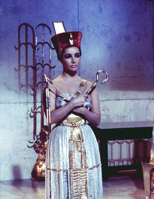 

Akhuratha Designs Wall Poster Elizabeth Taylor Paper Print(12 inch X 18 inch, Rolled)