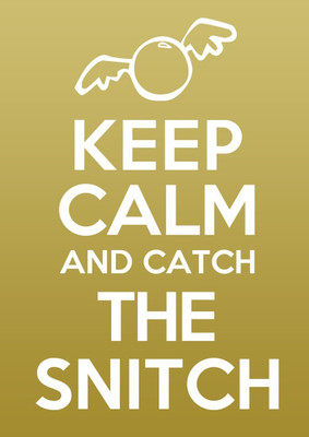 

Aabhaas Wall Poster Keep Calm And Catch The Snitch! Paper Print(12 inch X 18 inch, Rolled)