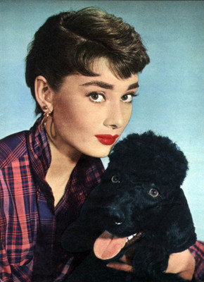 

Aabhaas Wall Poster Audrey Hepburn Paper Print(12 inch X 18 inch, Rolled)