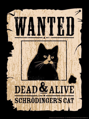 

Akhuratha Wall Poster Schrodinger's Cat Paper Print(12 inch X 18 inch, Rolled)