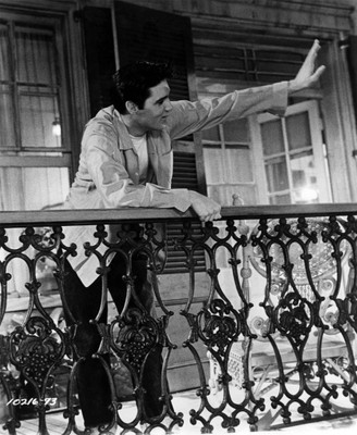 

Akhuratha Designs Wall Poster Elvis Presley Paper Print(12 inch X 18 inch, Rolled)
