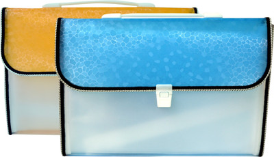 

SPS Plastic Full Expanding A4 Document Organizer with 13 Pockets, Handle, Index Tab ( Pack of 2)(Set Of 2, Multicolor)