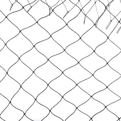 

EASYSHOPPINGBAZAAR ANTI BIRD NET 5 FOOT X 11 FOOT WITH STRONG NYLON STRINGS WHITE IN COLOUR Camping Net(White)