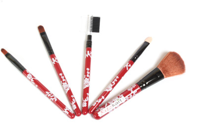 

Ritzkart Makeup Brush Set, red (Pack of 5) …(Pack of 5)