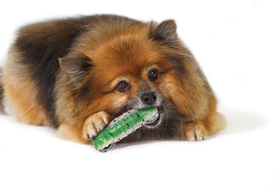 

Petstages Petstages chew crunchcore bone Rubber Chew Toy For Dog