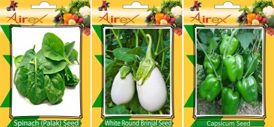 Airex Spinach, White Round Brinjal, Green Capsicum Seed(20 per packet)