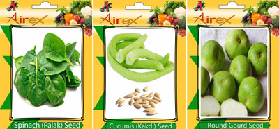 

AIrex Spinach, Cucumis, Round Gourd Seed(25 per packet)