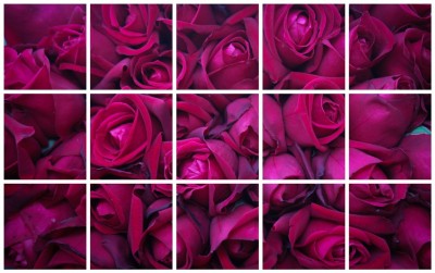 Asmi Collections 90 cm Beautiful Roses For Kitchen Removable Sticker(Pack of 1)