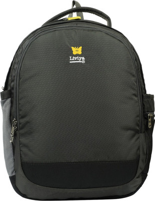 

Liviya SB-1482 33 L Backpack(Grey)