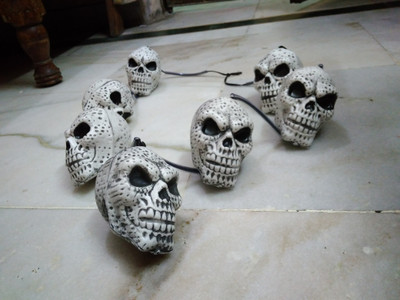 

Touch India White Decorative Head skull - 60 g