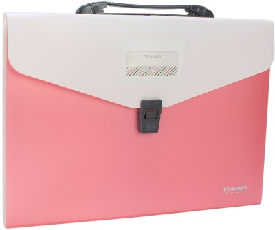 

TRANBO Plastic File Folder with 13 Pockets, Handle, Index Tab, FC Size, Pink(Set Of 1, Pink)