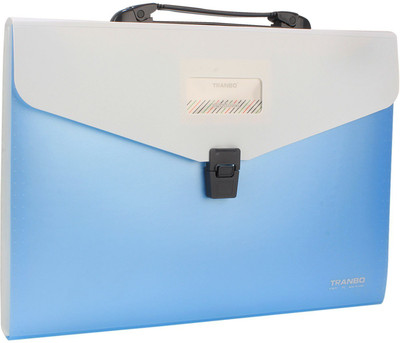 

TRANBO Plastic File Folder with 13 Pockets, Handle, Index Tab, FC Size, Blue(Set Of 1, Blue)
