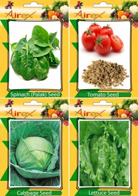 Airex Spinach, Tomato, Cabbage, and Lettuce Seed(15 per packet)