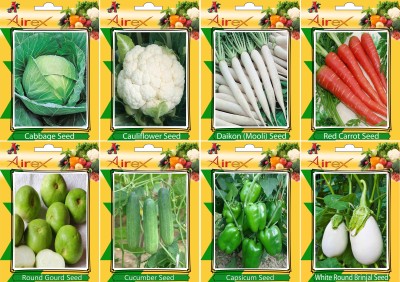 Airex Cabbage, Cauliflower, Daikon, Red Carrot, Round Gourd, Cucumber, Green Capsicum, and White Round Brinjal Seed(20 per packet)