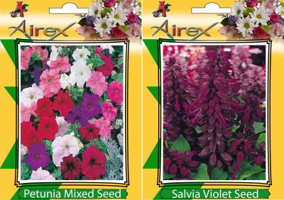 Airex Petunia Mixed, Salvia Violet Seed(20 per packet)