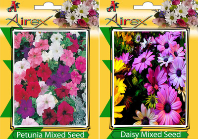 Airex Petunia Mixed, Daisy Mixed Seed(15 per packet)