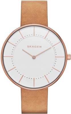 Skagen SKW2558 Watch  - For Men   Watches  (Skagen)
