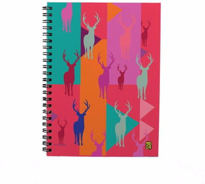 

Madcap Regular Notebook(Recycled Handmade, Multicolor)