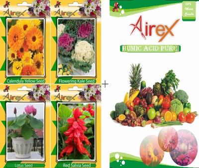 Airex Calendula Yellow, Flowering Kale, Lotus and Red Salvia, and Red Salvia Seed(20 per packet)