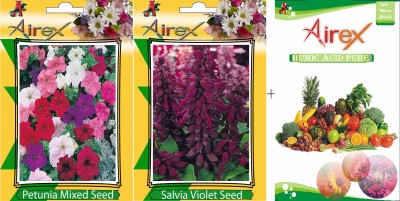 Airex Petunia Mixed, Salvia Violet Seed(20 per packet)