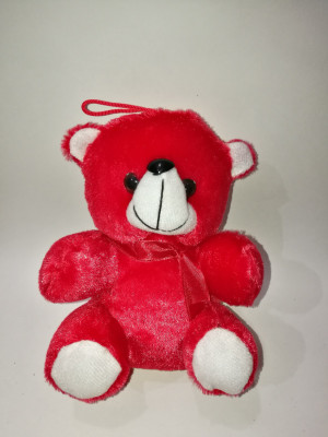 

COST TO COST Small Red Teddy - 8 inch(Red)