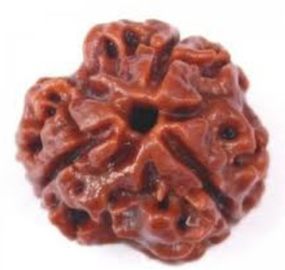 AJ 3 Mukhi Rudraksha Pendant - Original With Lab Certification Silk Dori