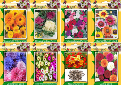 

Airex Calendula Yellow, Flowering Kale, Petunia Mixed, Chyrsantheum, Nasturtium, Dahlia, Cornflower, and Mesembryanthemum / Midday Seed(20 per packet)