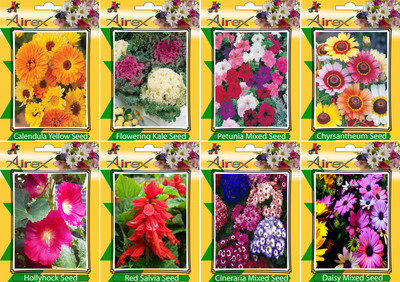 

Airex Calendula Yellow, Flowering Kale, Petunia Mixed, Chyrsantheum, Cineraria Mixed, Daisy Mixed, Hollyhock, and Red Salvia Seed(25 per packet)