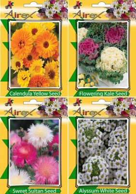 Airex Calendula Yellow, Flowering Kale, Sweet Sultan, and Alyssum White Seed(20 per packet)