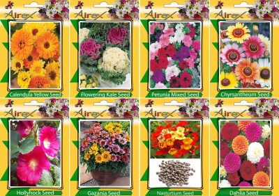 Airex Calendula Yellow, Flowering Kale, Petunia Mixed, Chyrsantheum, Nasturtium, Dahlia, Hollyhock, and Gazania Seed(25 per packet)