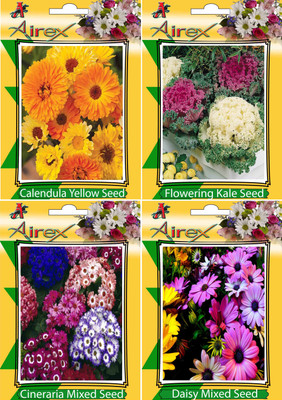 

Airex Calendula Yellow, Flowering Kale, Cineraria Mixed, and Daisy Mixed Seed(15 per packet)