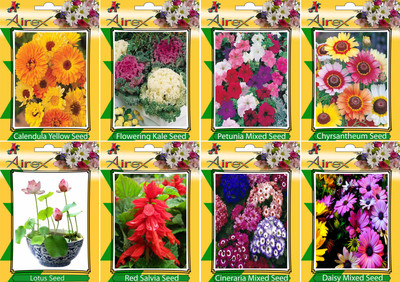 

Airex Calendula Yellow, Flowering Kale, Petunia Mixed, Chyrsantheum, Cineraria Mixed, Daisy Mixed, Lotus, and Red Salvia Seed(25 per packet)