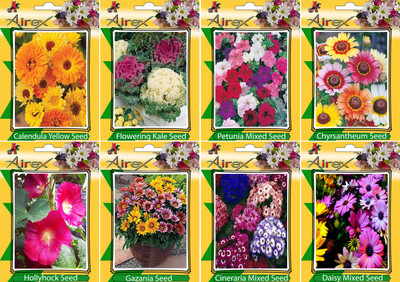 

Airex Calendula Yellow, Flowering Kale, Petunia Mixed, Chyrsantheum, Cineraria Mixed, Daisy Mixed, Hollyhock, and Gazania Seed(25 per packet)