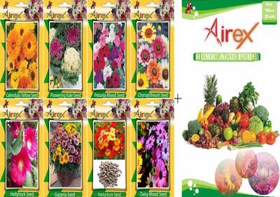 

Airex Calendula Yellow, Flowering Kale, Petunia Mixed, Chyrsantheum, Nasturtium, Daisy Mixed, Hollyhock, and Gazania Seed(20 per packet)